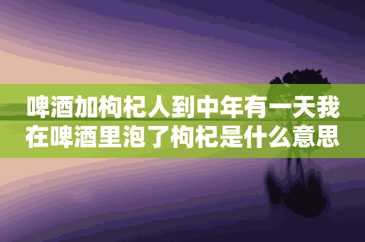 啤酒加枸杞人到中年有一天我在啤酒里泡了枸杞是什么意思